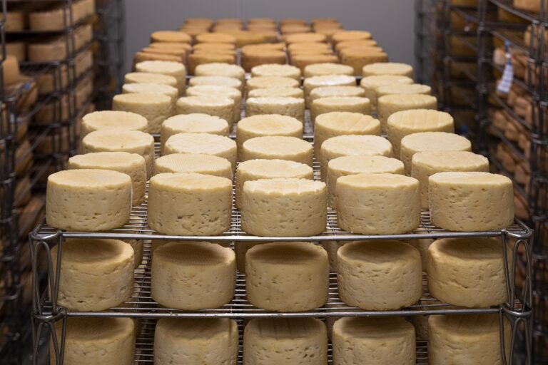 איך להכין גבינה בולגרית מעודנת בבית