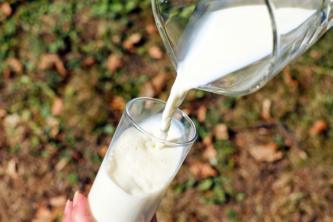 איך להכין מעדן חלב בבית